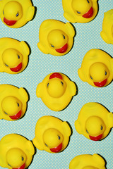 rubber ducks on a dot-patterned background