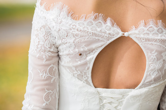 Photo bare shoulders bride whith ladybug