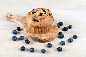 Blueberries muffin on wooden background
