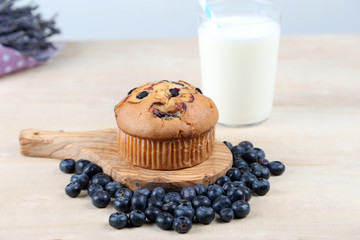 Blueberries muffin on wooden background
