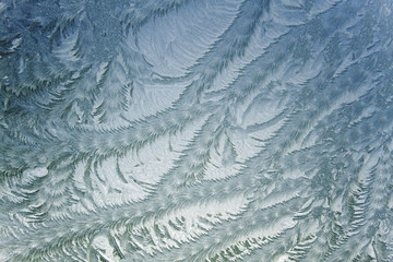 Eisblumen am Fenster