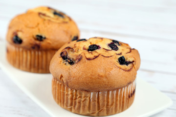 Blueberries muffins on wooden background