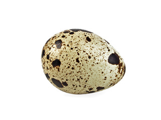 Quail egg on a white background