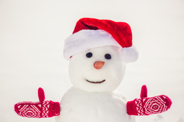 Snowman in winter park