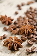 Fototapeta na wymiar Coffee beans with banyan
