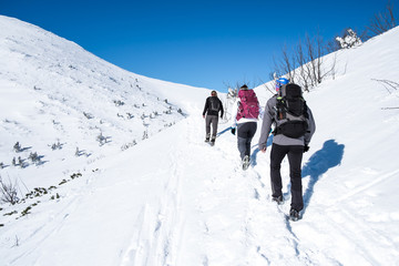group walking on snowy mountains