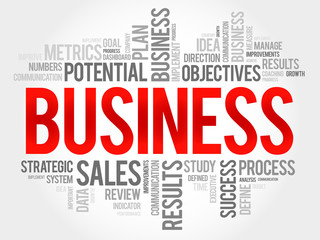 Fototapeta premium Business word cloud, business concept