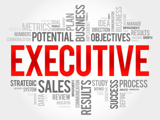 Executive word cloud, business concept