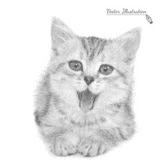 Vector illustration cat in black and white graphic style
