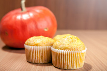 Two cupcakes and pumpkin on wood texture table