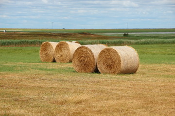 Round Straw Bales in Meadow Landscape Closeup
