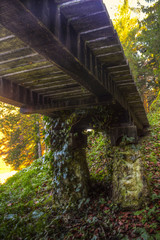 Fototapeta premium Small walkway bridge in the woods