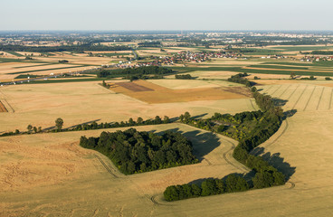 aerial view of  harvest fields in summer