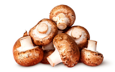 Pile of fresh brown champignon