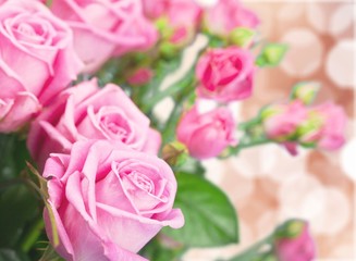 Flower.