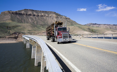 Truck on the bridge