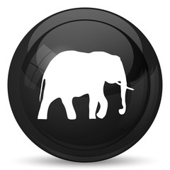 Elephant icon