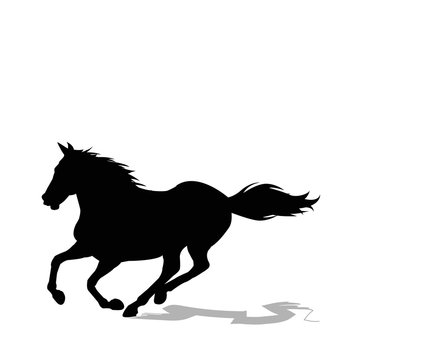 horse silhouette on white background