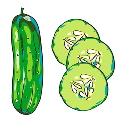 Vector cucumber sketch, hand drawn illustration