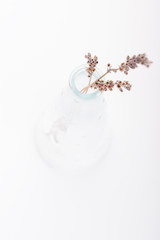Dried lavender in a glass bottle on a white background. Copy space.