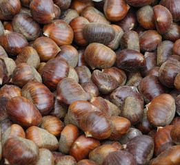 chestnut at market