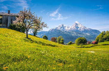 Idyllic landscape in the Alps with green meadows and farmhouse