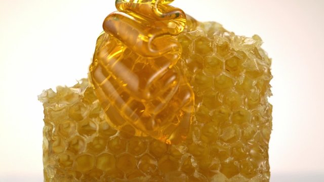 Honey pouring on honey comb shooting with high speed camera.
