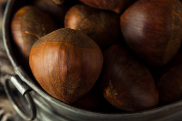 Raw Brown Organic Italian Chestnuts