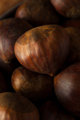 Raw Brown Organic Italian Chestnuts