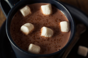 Homemade Warm Hot Chocolate