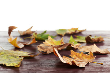 Autumn maple leaves on a wooden table isolated on white