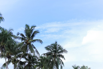 Obraz premium Kho Kood island in Thailand