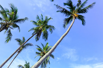 Fototapeta premium Kho Kood island in Thailand