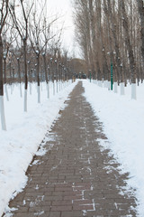 Sidewalk in the snow park