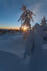 Fototapeten landscape © Ivan Kmit