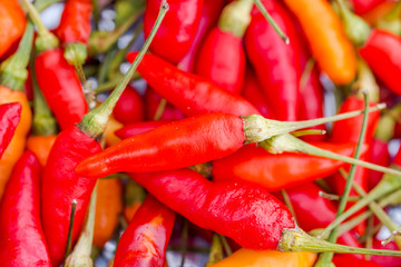 Hot chilli peppers, closeup view