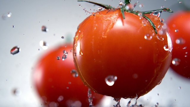 Water splash on tomato shooting with high speed camera.
