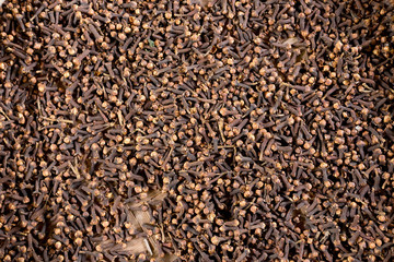 freshly dryed clove spice