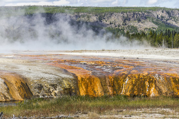 Steam above colorful stones in Yellowstone