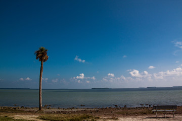 One Palm Beach