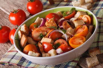 Italian bread salad - panzanella close-up on the table. horizontal