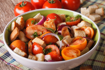 Fresh Italian panzanella salad in bowl close up. horizontal