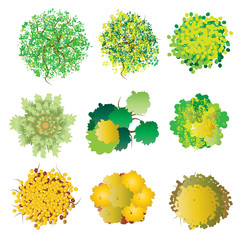 Obraz premium Plants and Trees top view set 3 for Landscape design , vector illustration