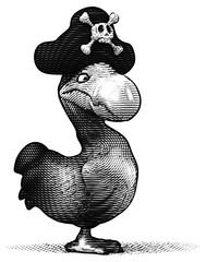 Dodo © Julien Tromeur