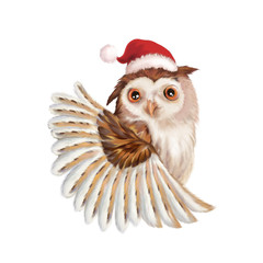 Illustration: Santa Claus Owl. The Big Santa Claus Owl with a Christmas Hat. Realistic Fantastic Cartoon Style Creative Idea / Character / Scene / Background / Wallpaper Design.