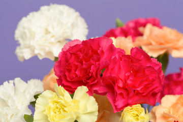 カーネーション