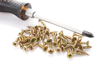 Screws and screwdriver