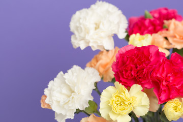 カーネーション