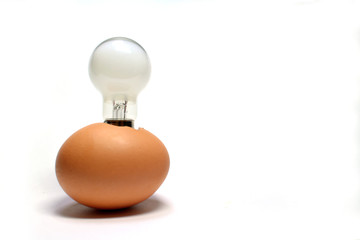 idea is born from the egg #18