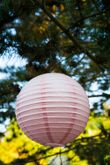 Paper Lantern Wedding Decor